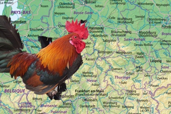 La cuisine, exception française en Allemagne ?